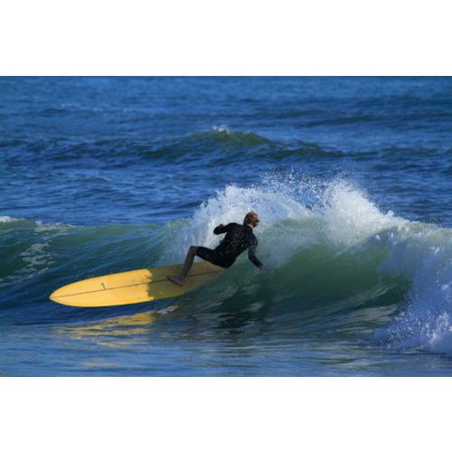 PRICE DOWN】HOBIE TW-Malibu Chip 9'6 PRICE DOWN】HOBIE TW-Malibu Chip 9'6