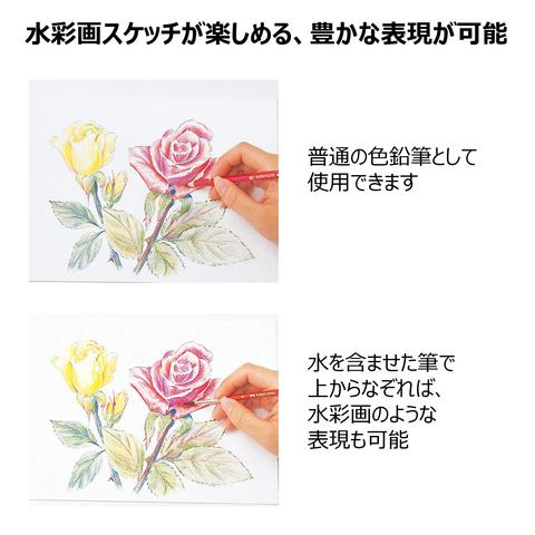 ファーバーカステル 水彩色鉛筆 48色セット シャチハタ しゃちはた 絵画 アート イラスト 水彩 筆 消しゴム 鉛筆削り お絵描き ペンシル おすすめ Sh 逸品