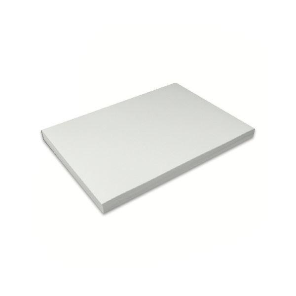 ダイオーペーパープロダクツレーザーピーチ SETY-60 A3 1ケース(400枚) AV デジモノ プリンター OA プリンタ用紙[▲][TP]