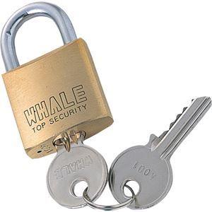 業務用 まとめ買い サンワサプライ eセキュリティ 南京錠大 鍵No.1 SLE-1L-1N 1個  パソコン 周辺機器[▲][TP]