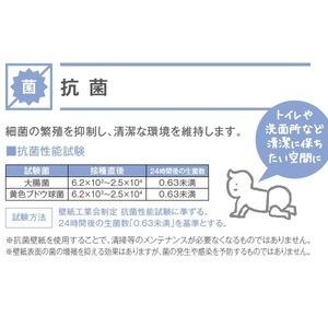壁紙 のり無しタイプ サンゲツ Sp 9579 無地 壁紙 無地 92cm巾 25m巻 Sp 9579 Tp Ds スマホグッズのホビナビ