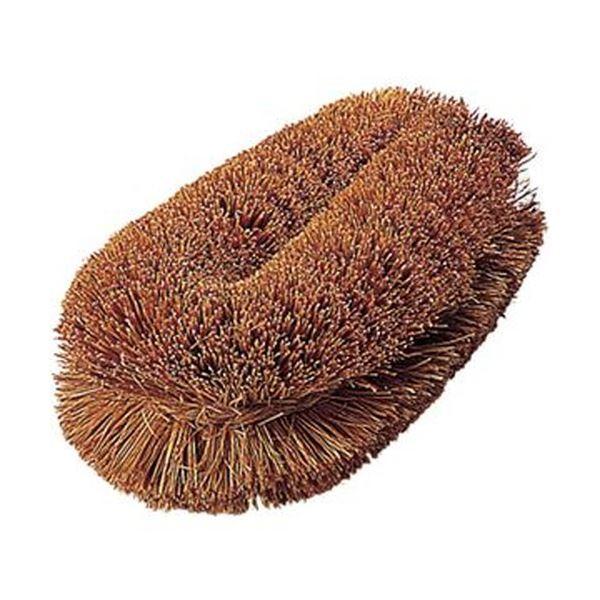 まとめ売りTRUSCOナチュラルブラシ「いがぐり君」 110mm TW-S 1個 ×50セット 生活用品 インテリア 雑貨 日用雑貨 掃除用品[▲][TP]