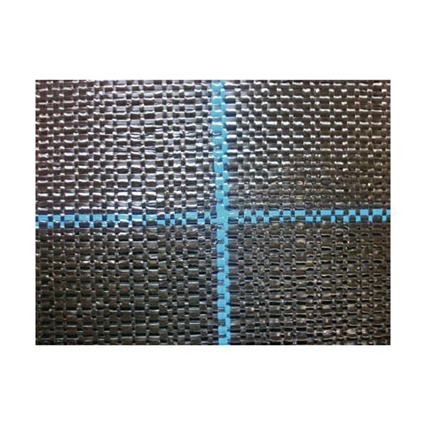 日本ワイドクロス 強力防草シート ブラック BB2218-2X100 1本 [▲][TP]