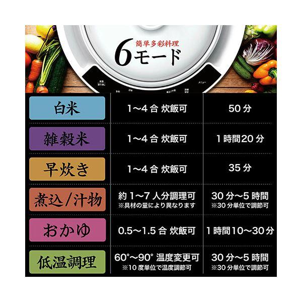 SOUYI JAPAN 本格的な土鍋ごはんを手軽に美味しく味わえる土鍋炊飯器 ホワイト SY-150-WH 【代引不可】[▲][TP]｜hobinavi2｜03
