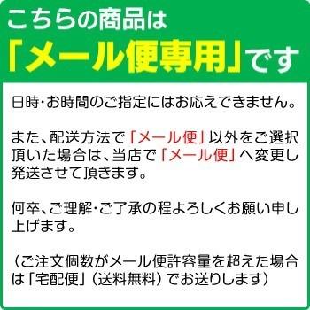 ガラスフィルム iPhone6 iPhone6s 専用 全面+背面用 デザイン強化ガラス保護フィルム iPhone6/6s ガラスフィルム メール便｜hobinavi｜02