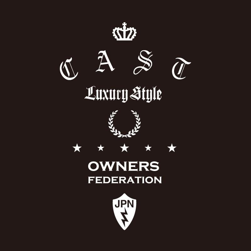 カッティングステッカー ダイハツ Daihatsu Cast キャスト Dressup 車 カー ステッカー アクセサリー シール ガラス オーダーメイド 転写 Cc Myox108cst Vstd ホビナビ 通販 Yahoo ショッピング