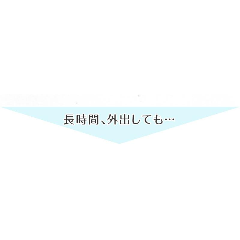 猫砂 猫 キャット トイレ 砂 鉱物系 ベントナイト 飛び散り防止 固まる 匂い対策 安全 ニオイをとる砂 天然 消臭 抗菌 サンド 7L×3袋 まとめ買い | REDHiLL | 09