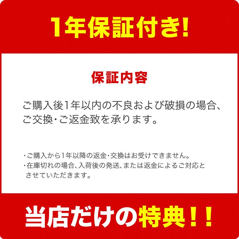 REDHiLL 【1年保証】掃除機 コードレス コードレス掃除機
