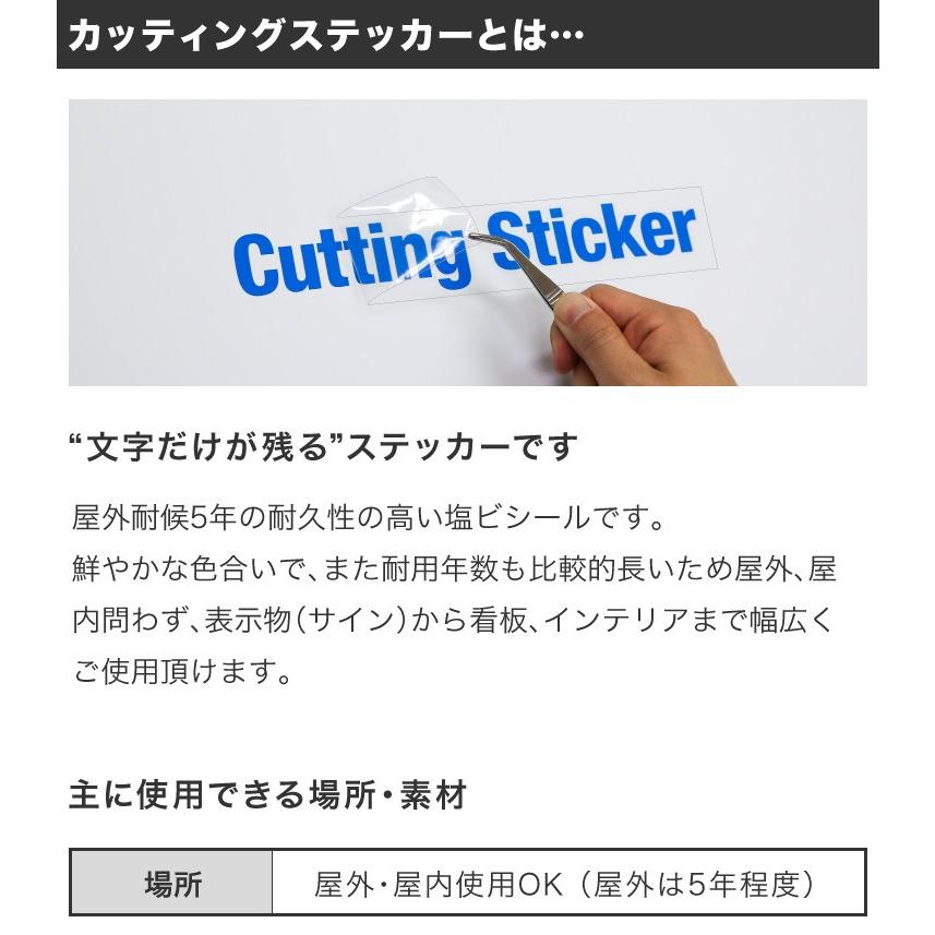 1文字からOK！20cmまで同価格！（15.5〜20cm）屋外5年程度 文字シール ステッカー 車 オーダーメイド 看板 扉 スーツケース カッティングステッカー [◆] | ブランド登録なし | 09