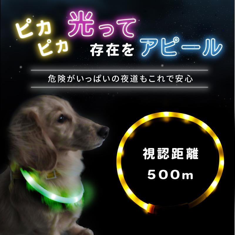 光る首輪 光る首輪 充電 犬 光る首輪 充電式 光る首輪 犬 LEDライト 光る首輪 犬 犬 光る首輪 軽量 犬 光る首輪 レインボー 犬 首輪 光る 光る首輪 カラー | ブランド登録なし | 10