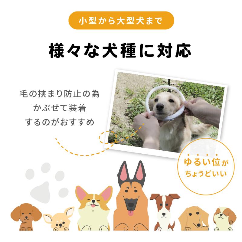 光る首輪 光る首輪 充電 犬 光る首輪 充電式 光る首輪 犬 LEDライト 光る首輪 犬 犬 光る首輪 軽量 犬 光る首輪 レインボー 犬 首輪 光る 光る首輪 カラー | ブランド登録なし | 13