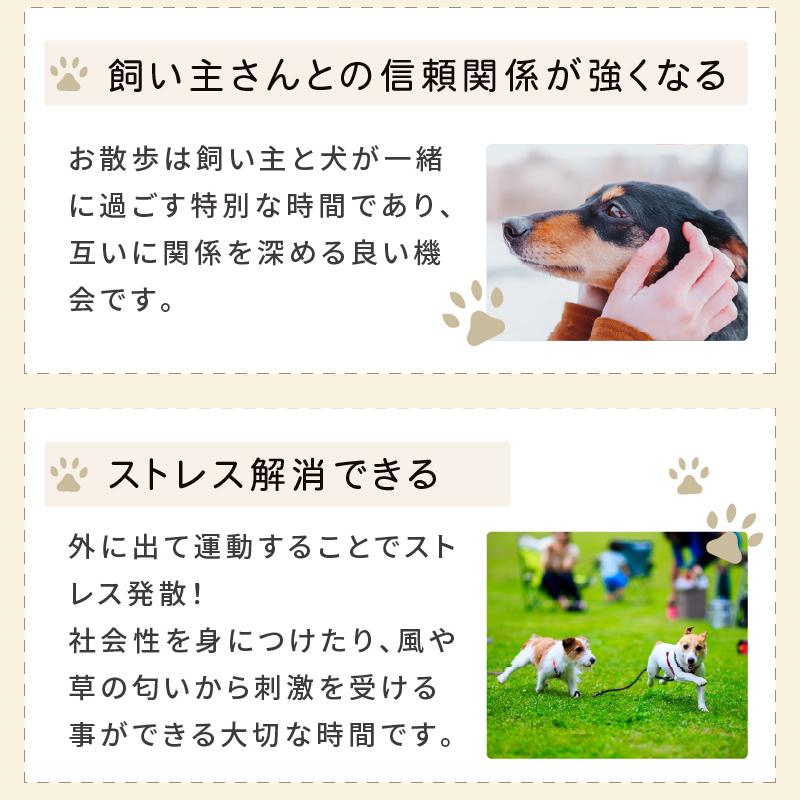 光る首輪 光る首輪 充電 犬 光る首輪 充電式 光る首輪 犬 LEDライト 光る首輪 犬 犬 光る首輪 軽量 犬 光る首輪 レインボー 犬 首輪 光る 光る首輪 カラー | ブランド登録なし | 06