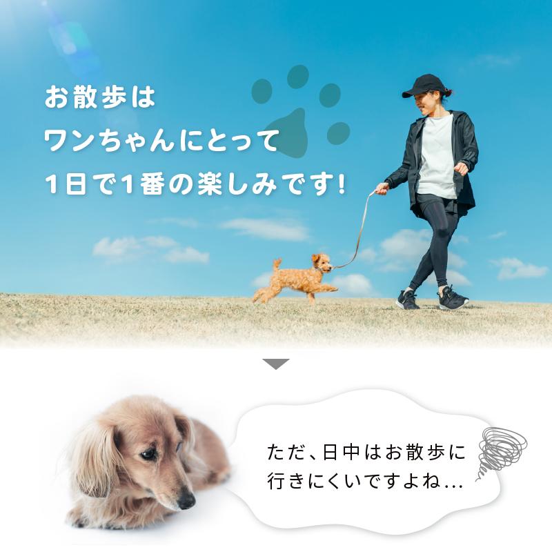 光る首輪 光る首輪 充電 犬 光る首輪 充電式 光る首輪 犬 LEDライト 光る首輪 犬 犬 光る首輪 軽量 犬 光る首輪 レインボー 犬 首輪 光る 光る首輪 カラー | ブランド登録なし | 07