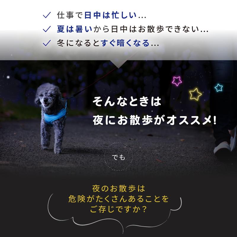 光る首輪 光る首輪 充電 犬 光る首輪 充電式 光る首輪 犬 LEDライト 光る首輪 犬 犬 光る首輪 軽量 犬 光る首輪 レインボー 犬 首輪 光る 光る首輪 カラー | ブランド登録なし | 08