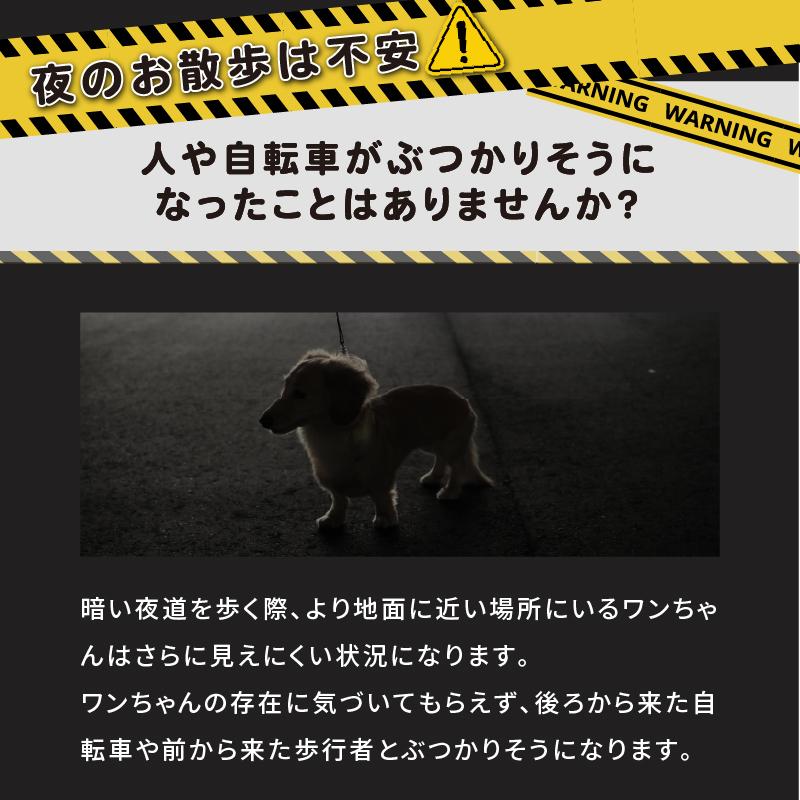 光る首輪 光る首輪 充電 犬 光る首輪 充電式 光る首輪 犬 LEDライト 光る首輪 犬 犬 光る首輪 軽量 犬 光る首輪 レインボー 犬 首輪 光る 光る首輪 カラー | ブランド登録なし | 09