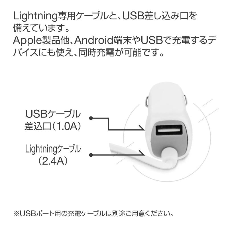 市場：Apple社 MFi認証 lightning ケーブル 認証 ライトニングケーブル iPhone12 Pro Max mini iPhone 12 iPhoneSE3 SE3 第3世代 SE2 11 XS MAX X XR  mfi認証品 | ブランド登録なし | 05