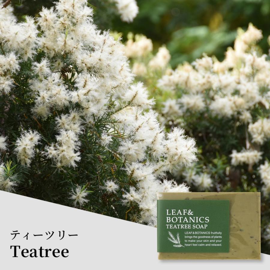LEAF&BOTANICS 松山油脂 石鹸 ティーツリー リーフ&ボタニクス メール