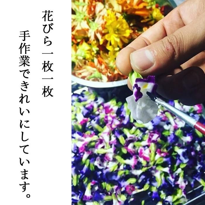 エディブルフラワー ドライ 食用花 食べられる 花 ビオラ イエロー