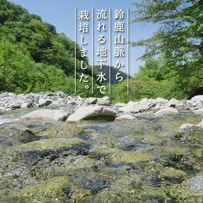 エディブルフラワー ドライ 食用花 食べられる 花 ベゴニア レッド 誕生日 プレゼント ギフト | ブランド登録なし | 06