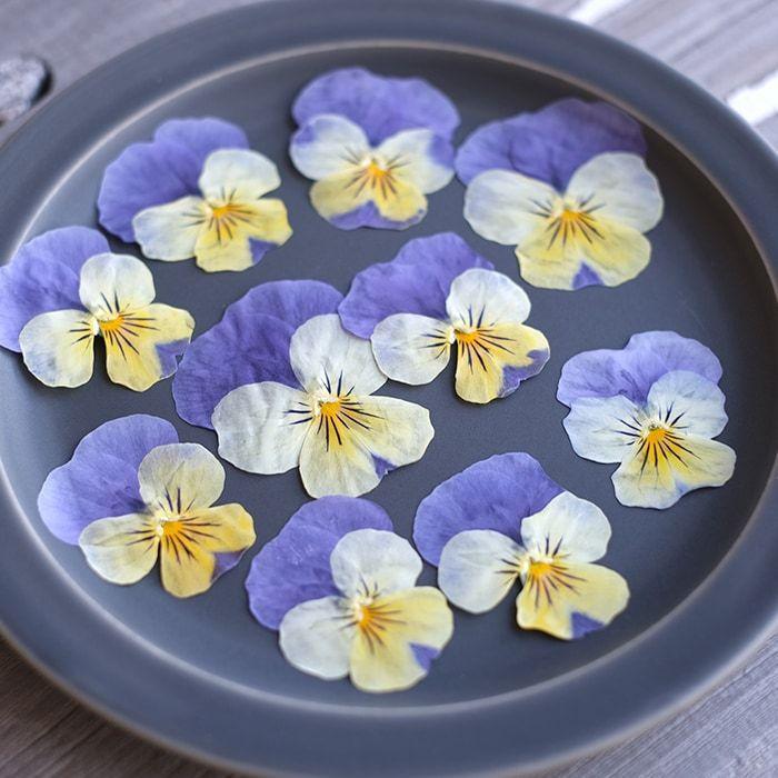 エディブルフラワー ドライ 食用花 食べられる 花 ビオラ ひぐれももか 
