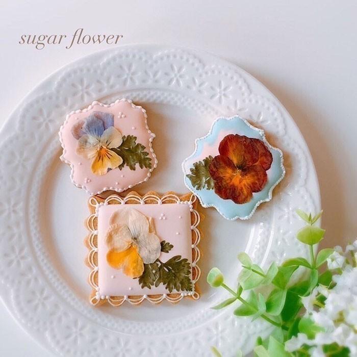 エディブルフラワー ドライ 食用花 食べられる 花 ビオラ ヘブンリー