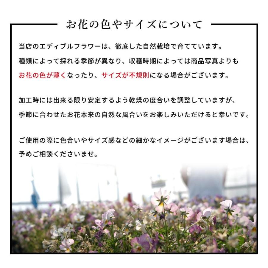 エディブルフラワー 食用花 チャービル 11枚入 ハーブ 送料無料 1000円ポッキリ ドライ メール便 87 63 雑貨屋 Hocoro ホコロ 通販 Yahoo ショッピング