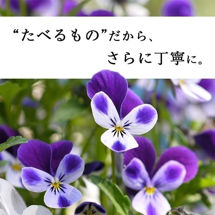 エディブルフラワー ドライ 食用花 花 コーンフラワー ピンク ミックス 食べられる花 アイシングクッキー 誕生日 プレゼント ギフト | ブランド登録なし | 05