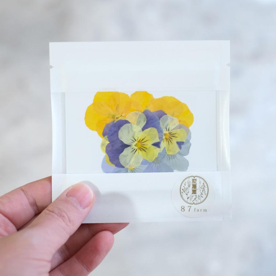 エディブルフラワー ドライ 食用花 食べられる 花 ビオラ ミックス 10