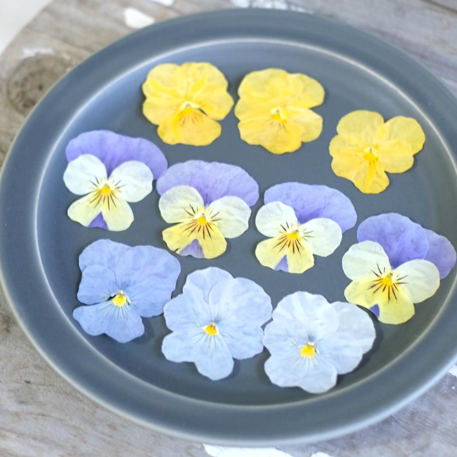 エディブルフラワー ドライ 食用花 食べられる 花 ビオラ ミックス 10