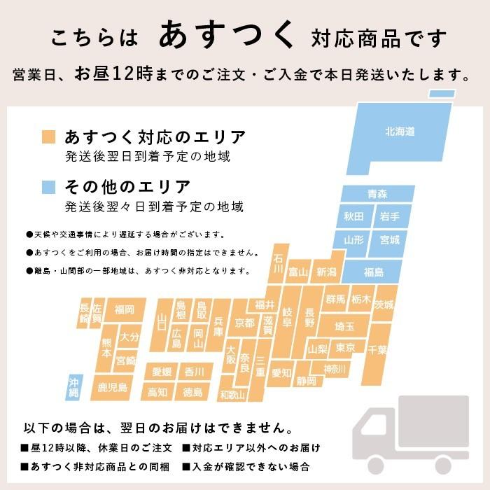 倉敷意匠計画室 Kiyata 可愛い ゆるい Kiyata 豆皿 ウサギ ハリネズミ クマ Kiyata2 雑貨屋 Hocoro ホコロ 通販 Yahoo ショッピング