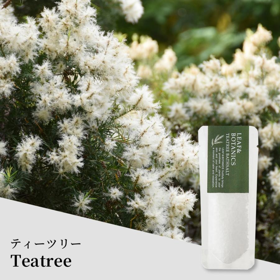 松山油脂 入浴剤 バスソルト バスシュガー 6点セット プレゼント メール便 リラックス ラベンダー グレープフルーツ ゼラニウム レモングラス 入浴料 ギフト | LEAF&BOTANICS | 07