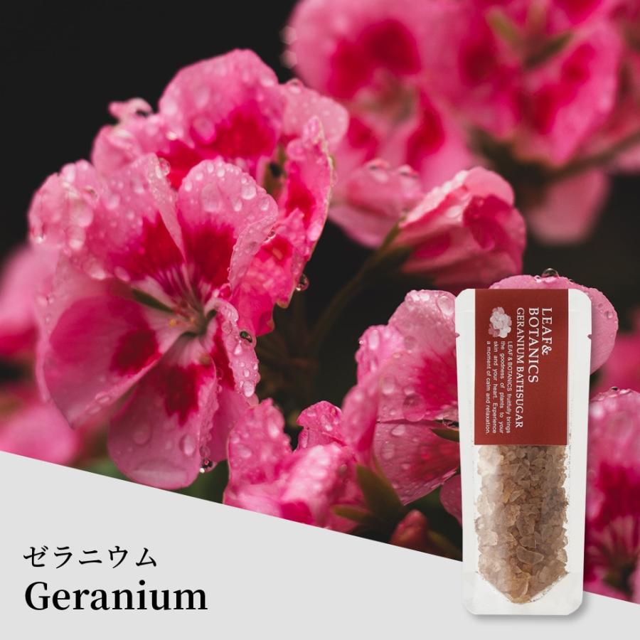 松山油脂 入浴剤 バスソルト バスシュガー 選べる6点セット プレゼント メール便 リラックス ラベンダー グレープフルーツ ゼラニウム レモングラス 入浴料 | LEAF&BOTANICS | 03