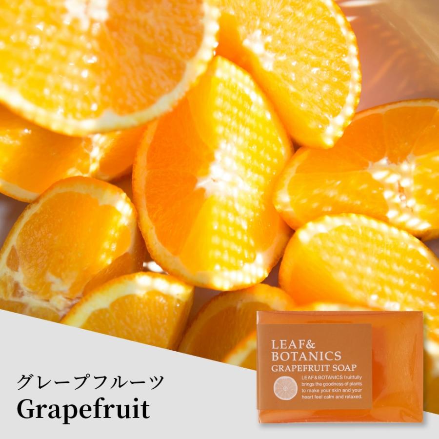 松山油脂 石鹸 リーフ＆ボタニクス 無添加 マザーソープ 全種 6個 セット 手洗い 洗顔 身体 送料無料 メール便  釜焚き 昔ながら 釡炊き製法 カンブリア宮殿 | LEAF&BOTANICS | 06