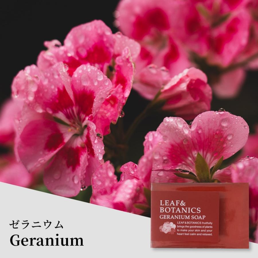 石鹸 マザーソープ 松山油脂 無添加 選べる 3個 セット 手洗い 洗顔 身体 リーフ＆ボタニクス いい香り 送料無料 メール便 | 松山油脂 | 04