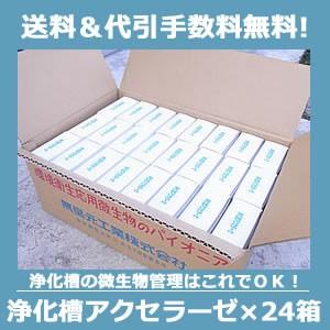 浄化槽アクセラーゼ 180g×24箱/ケース 浄化機能改善 水質 悪臭対策 微生物 バクテリア 無臭元