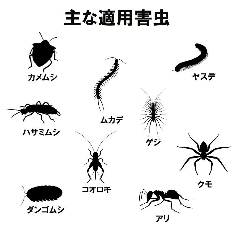 最大86%オフ! あすつく サイベーレ 0.5SC 900ml ムカデ ヤスデ アリ用殺虫剤 虫退治 害虫駆除 殺虫剤 academydosaber.com 最大86%オフ! あすつく サイベーレ 0.5SC 900ml ムカデ ヤスデ アリ用殺虫剤 虫退治 害虫駆除 殺虫剤 academydosaber.com