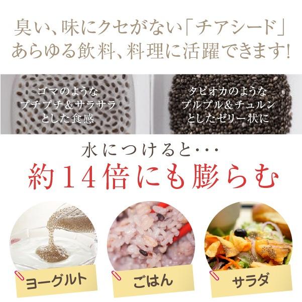 チアシード ブラック 800g Chia Seeds Chiaseedbk 03 Nichie ニチエー 通販 Yahoo ショッピング