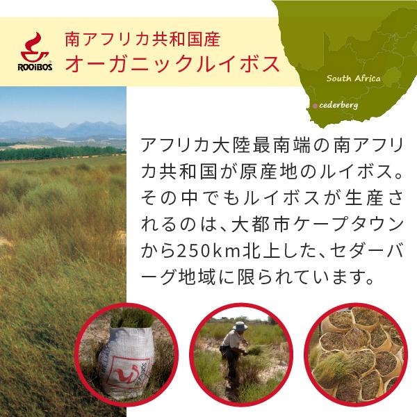 ルイボスティー オーガニック パック レッドマーク JP20 (旧クラシック) 2g×90個(ルイボス茶 有機 rooibos tea 水出し可) YF|hogarakagenki|06