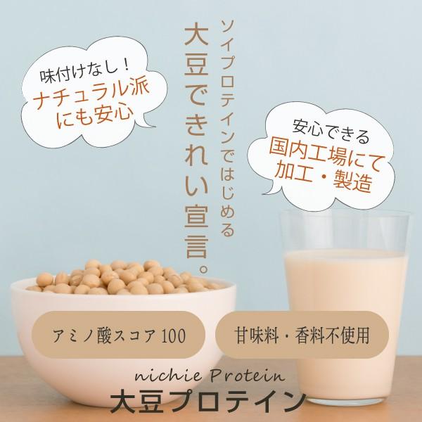 ソイプロテイン 大豆 1kg 女性 甘味料 香料無添加 大豆たんぱく Soy Protein Daizu 02 Nichie ニチエー 通販 Yahoo ショッピング