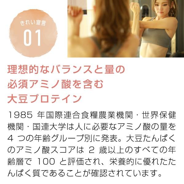 ソイプロテイン 大豆 アメリカ産 3kg 女性 甘味料 香料無添加 大豆たんぱく Soy Protein Daizuus 03 Nichie ニチエー 通販 Yahoo ショッピング