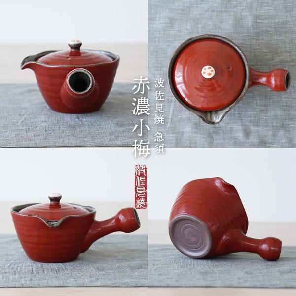 急須 赤濃小梅 大急須 茶こし付 波佐見焼 日本製 (おしゃれ 陶器