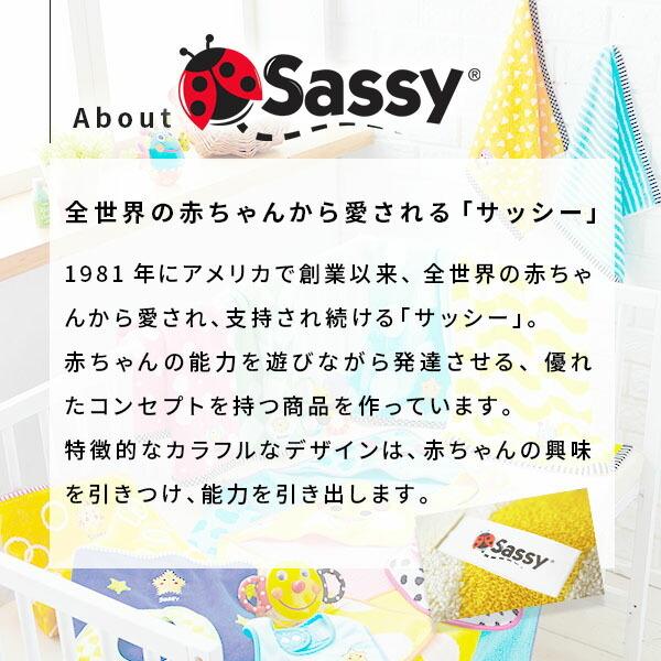 Sassy サッシー ミニタオルハンカチ 子供 (出産祝い 名入れ 男の子 女の子 ギフト 誕生日 プレゼント)｜hogarakagenki｜08