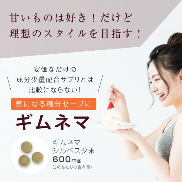 nichie ギムネマ サプリメント 270粒（約3ヶ月分） ダイエット 中の