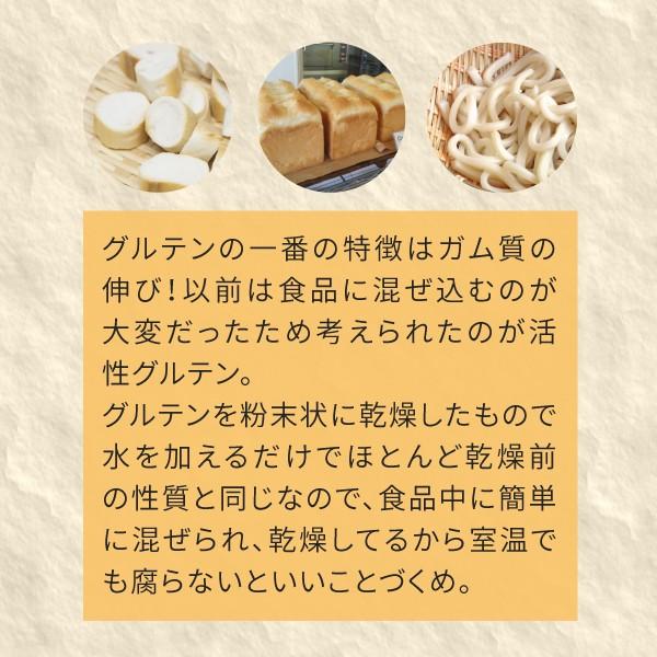 小麦グルテン 粉 100g（パウダー 代用 米パン用）｜hogarakagenki｜05