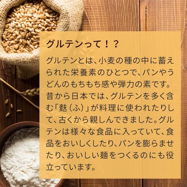 小麦グルテン 粉 3kg (パウダー 代用 米パン用)｜hogarakagenki｜04