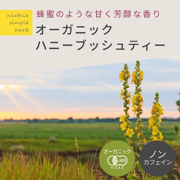 オーガニック ハニーブッシュティー ティーバッグ 2g×50個 有機 ハニーブッシュ の ハーブティー ティーパック 植物由来のティーバッグ | nichie | 02