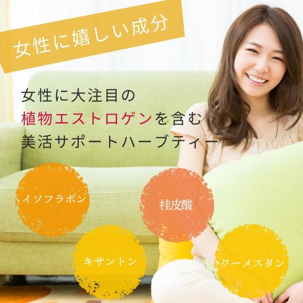 オーガニック ハニーブッシュティー ティーバッグ 2g×50個 有機 ハニーブッシュ の ハーブティー ティーパック 植物由来のティーバッグ | nichie | 05