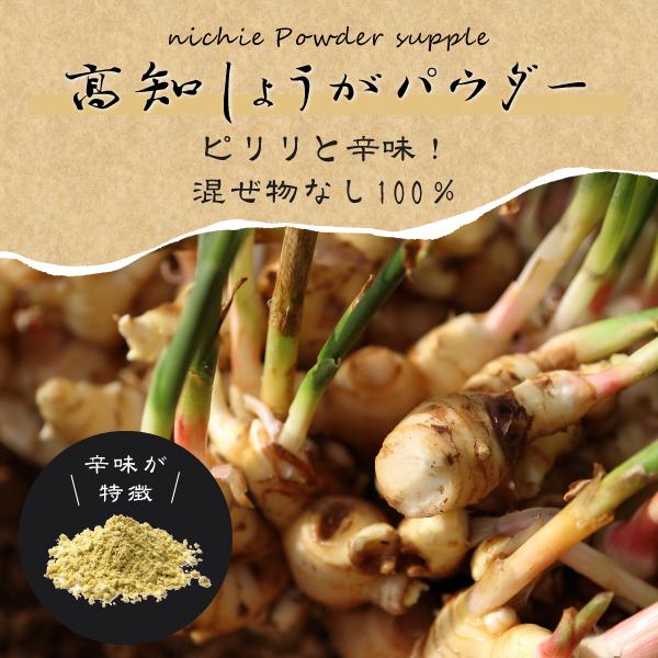 しょうが 粉末 生姜パウダー 100% 100g 高知県 乾燥粉末しょうが 国産 乾燥ショウガ を パウダー に 甘味料・着色料・保存料不使用 生姜（Yahoo!・nichie ニチエー）
