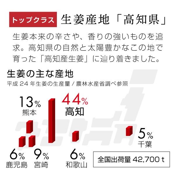 生姜パウダー 国産 高知 100％ 100g（生姜粉末 しょうが ジンジャーパウダー） YF｜hogarakagenki｜05