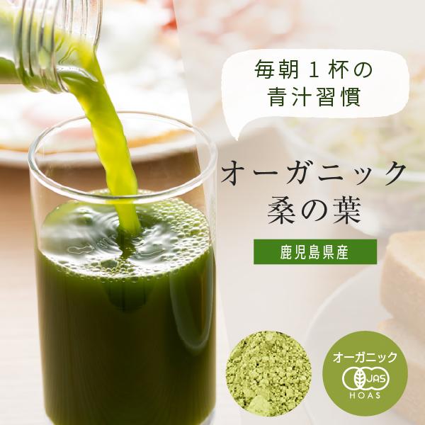 桑の葉茶 国産 粉末 オーガニック 100g 鹿児島県産 有機 桑の葉 を パウダー に 甘味料・着色料・保存料不使用 桑の葉青汁 G81 RSL（Yahoo!・nichie ニチエー）